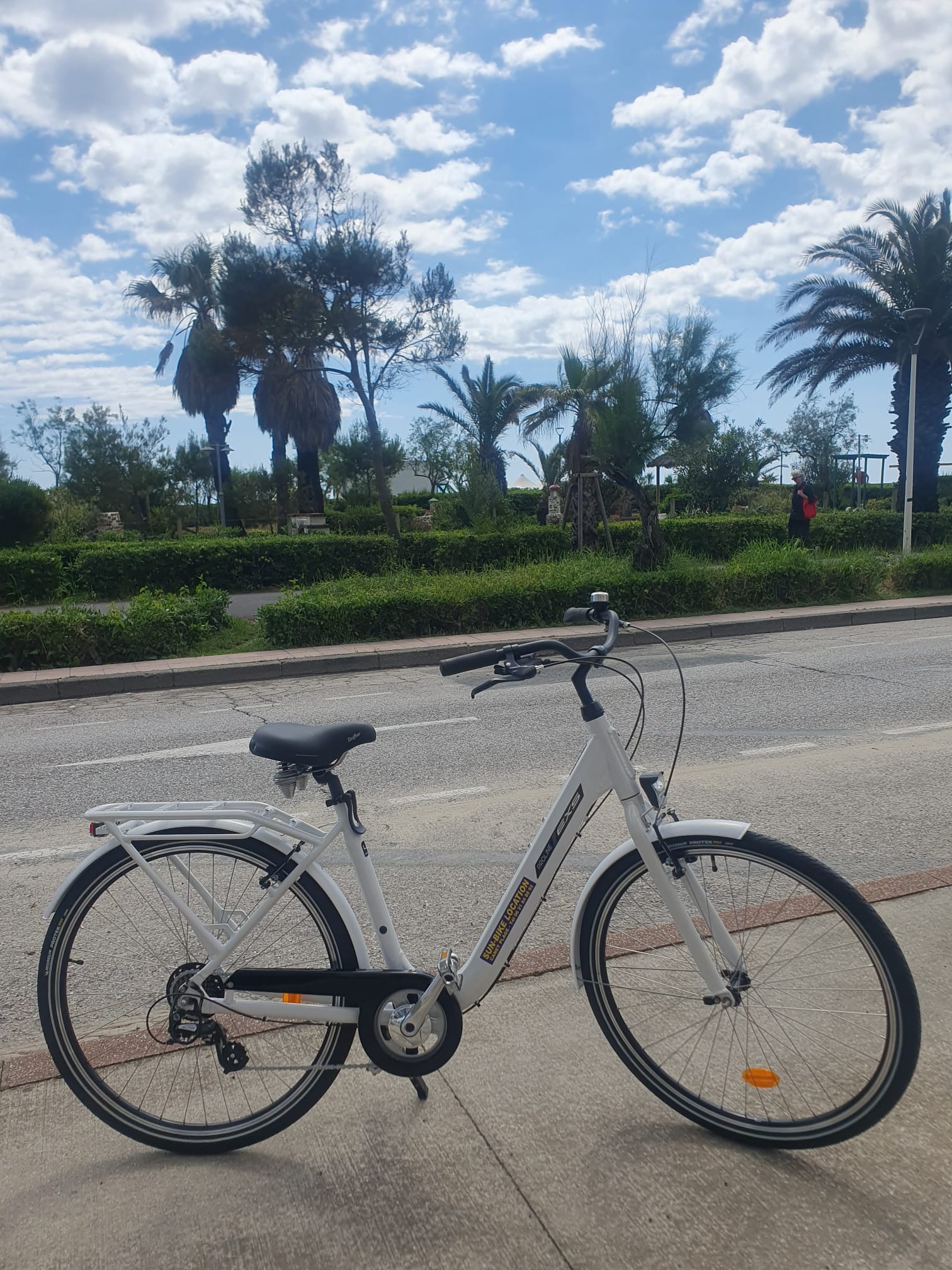 Ville Alu Miami Proline 7 vitesses